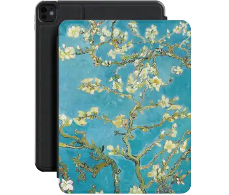 Almond Blossom