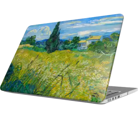 Green Wheat Field with Cypress