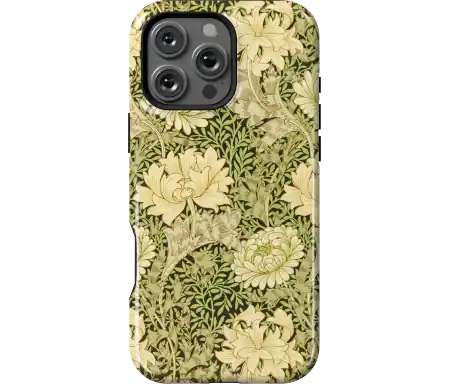 Chrysanthemum