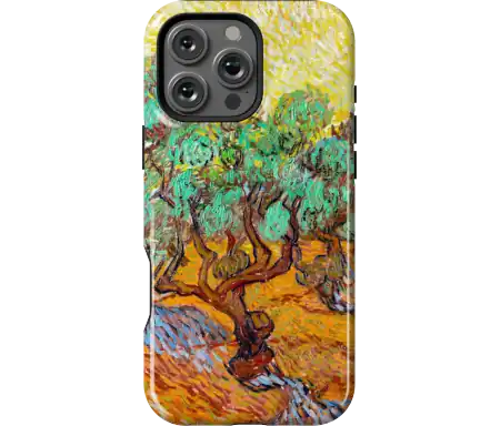 Olive Trees