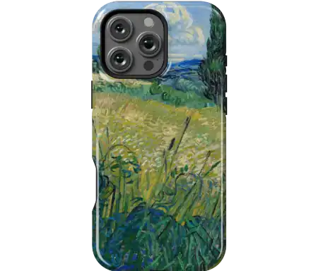Green Wheat Field with Cypress